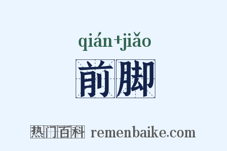 前脚是什么意思的图片